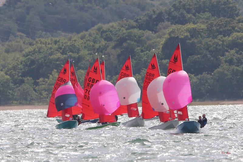 Mirror UK National Championship 2025 at Netley Sailing Club photo copyright Tim Bees taken at Netley Sailing Club and featuring the Mirror class