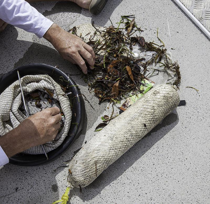 Investigating the 'catch' - leaves, wrappers, cable ties, cigarette butts and polystyrene balls. - photo © John Curnow
