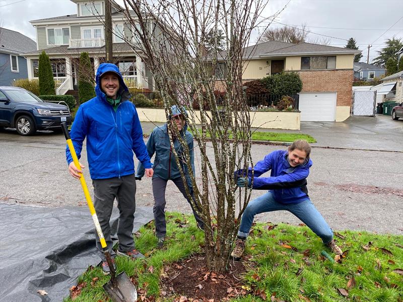 Let the tree-rescue games begin! photo copyright David Schmidt taken at Bellingham Yacht Club