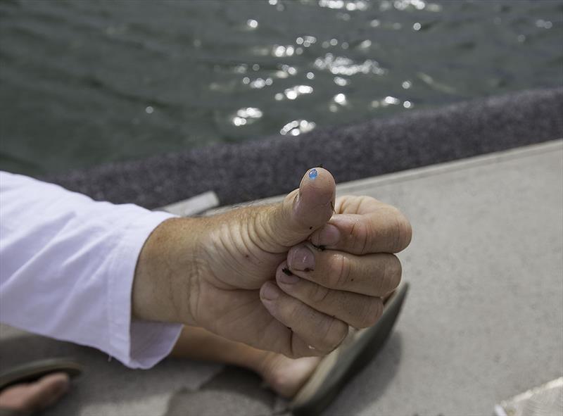 A micro plastic bead on the end of David Turton's thumb. - photo © John Curnow