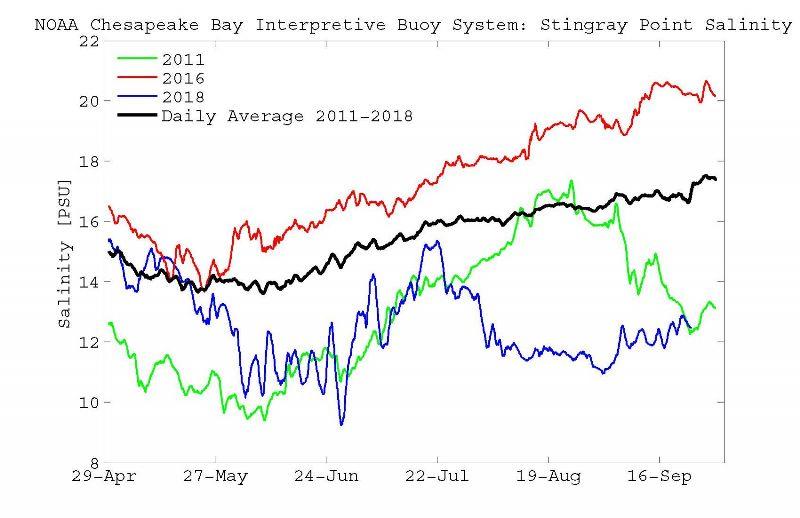 Salinity at NOAA CBIBS Stingray Point May through September - photo © NOAA Fisheries