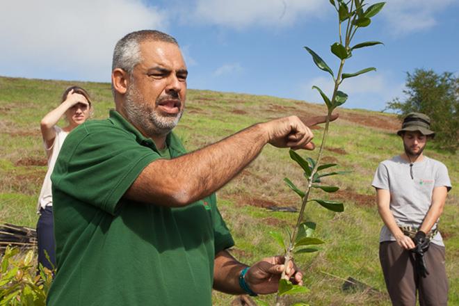 ARC 2018 - Forest Project - photo © World Cruising