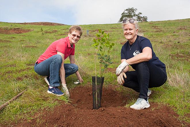 ARC 2018 - Forest Project - photo © World Cruising