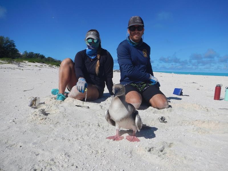 Wrapping up marine debris mission at Midway - photo © NOAA Fisheries