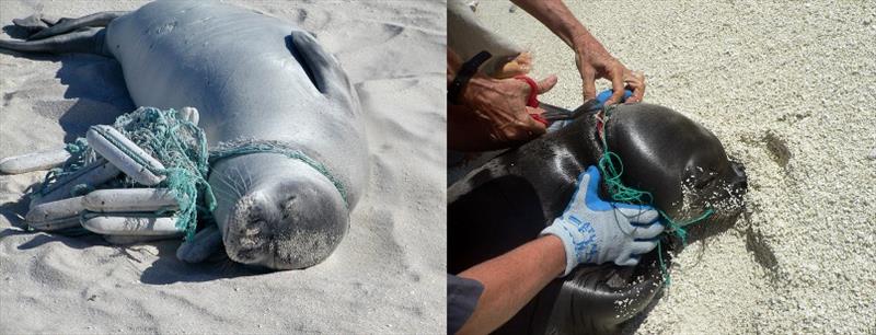 Removing marine debris photo copyright NOAA Fisheries taken at 