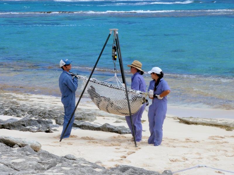 Providing medicine photo copyright NOAA Fisheries taken at 