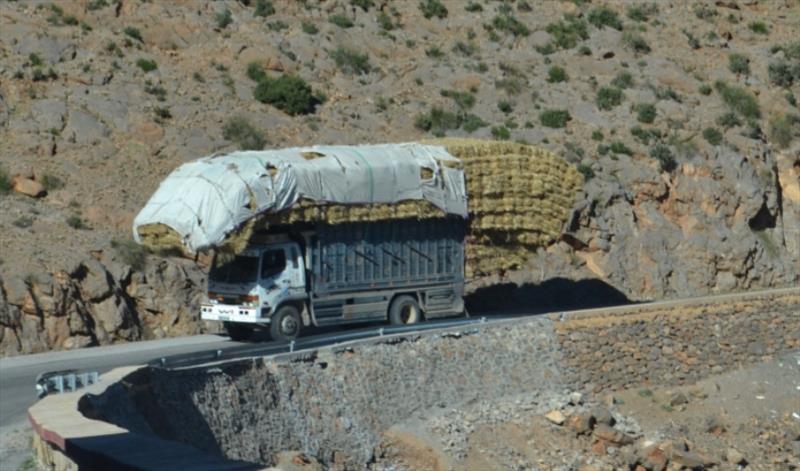 A common sight on the road from Sahara to Fes - photo © SV Red Roo