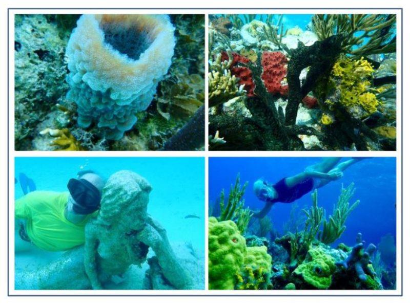 Snorkeling in the Exuma's is fabulous. The reefs are shallow and alive with color and marine life. - photo © Rod Morris