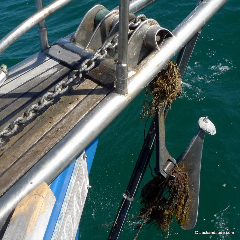 Speared an Oyster Shell photo copyright Jack and Jude taken at 