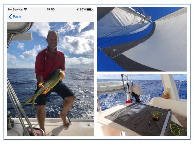 David all smiles with dinner! The Art of Sailing, and looking up during a relaxing coffee break on the trampoline. A new cockpit canvas for the helm station gets completed. - photo © Rod Morris