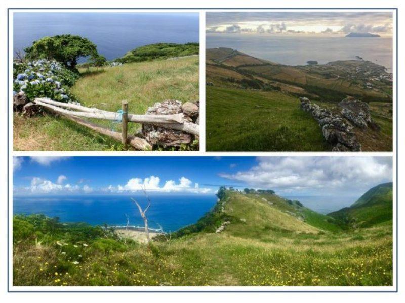 Hiking on Flores Island is a stunning visual treat in late July, with Hydrangea covered dry pack walls everywhere, constant sound of birds singing and incredible vistas at every turn. On busy day you might encounter few other hikers in unspoiled paradise. - photo © Rod Morris