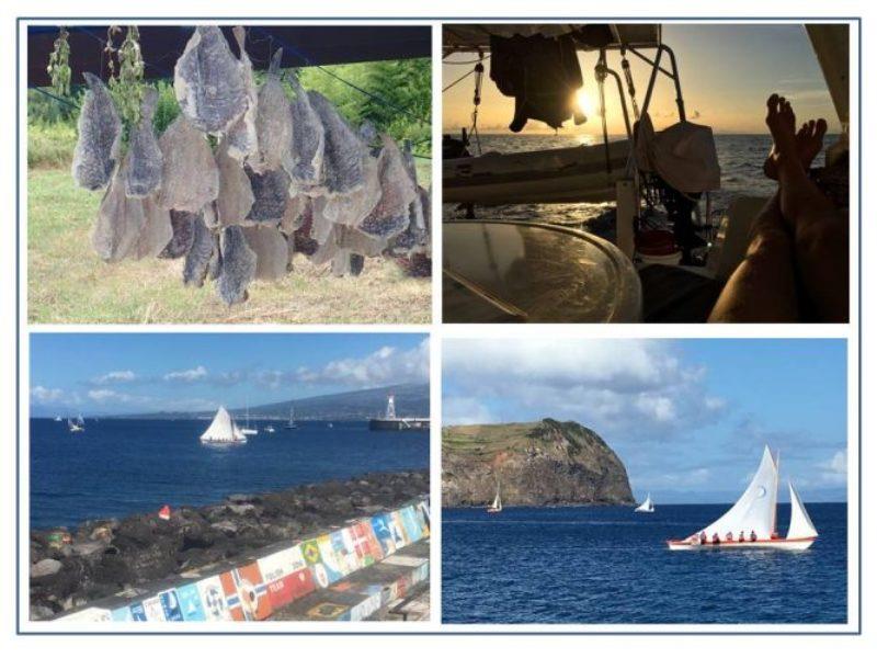 Salted fish drying from lines strung under carport cover of a Flores home. As I set sail over night to the island of Faial, the sun sets on Flores. A traditional whaling boat participates in the races during Horta's Yachting Appreciation Week festivities. - photo © Rod Morris