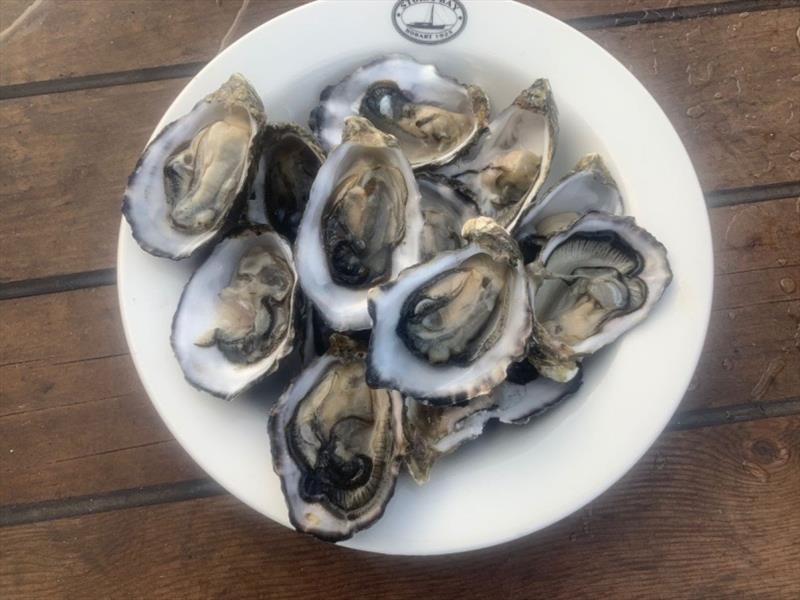 Ordered 8 dozen oysters for the wet well in Storm Bay - photo © Tim Phillips
