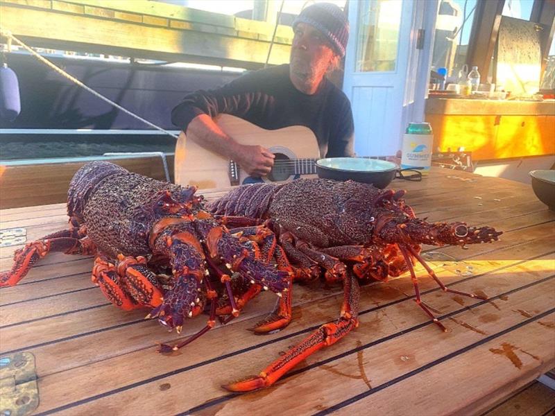 Crays at Wineglass Bay - photo © Tim Phillips