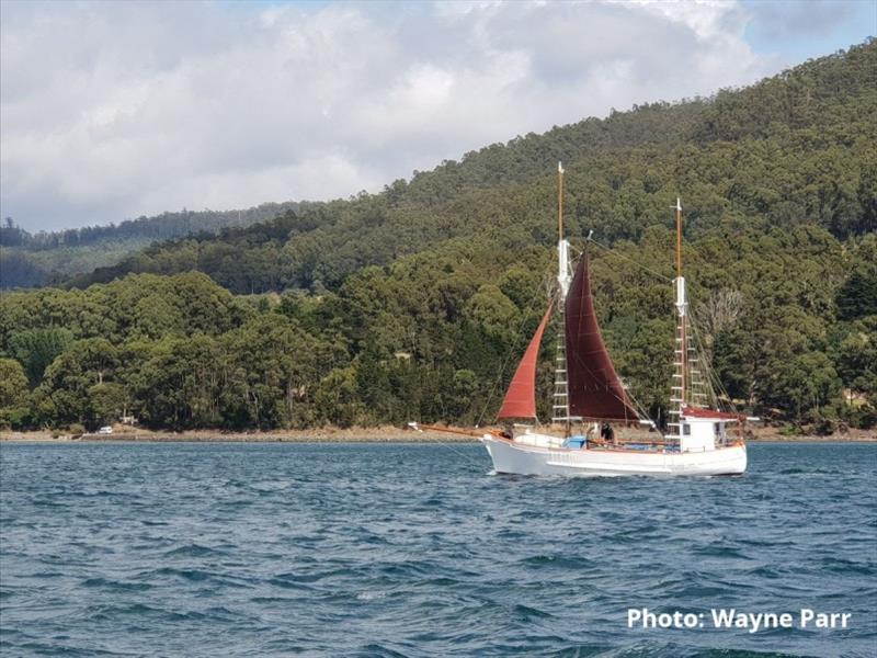 Neil Smith's Wildwave coming down the channel a couple of days after the festival, recently returned from a single handed round Australia trip. I think I'm right in saying well into his 70s. - photo © Wayne Parr