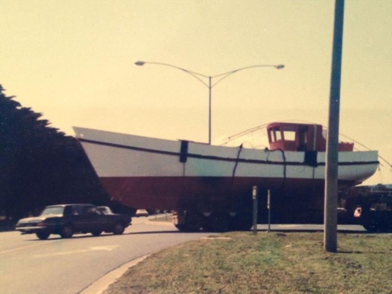 Moonbird, A photograph I snapped in 1977 in the middle of Point Nepean Road Mornington - photo © Tim Phillips