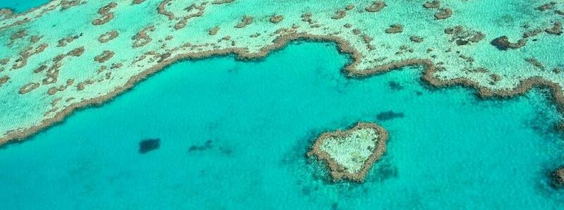 Heart Reef is one of the many iconic natural attractions in the Whitsundays photo copyright Clipper Race taken at 