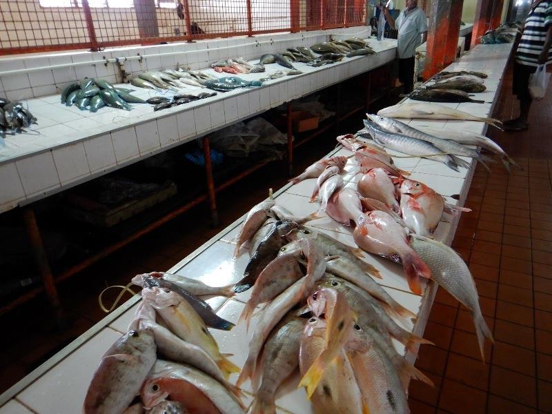 The Lautoka fish market - photo © Andrew and Clare Payne / Freedom and Adventure