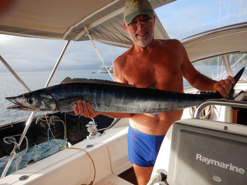 Our Wahoo - photo © Freedom and Adventure / Andrew and Clare Payne