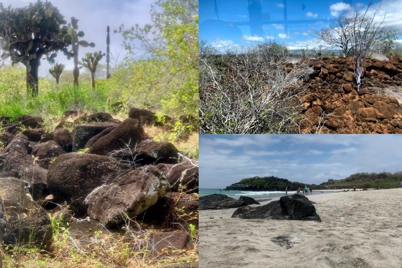 Various vegetation and landscape - photo © SV Taipan