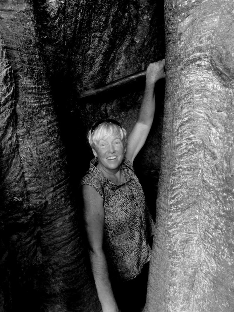 Underground into the roots of the Ficus - photo © SV Taipan