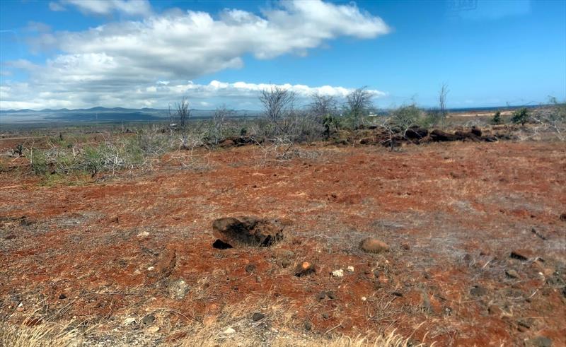 Baltra Island is very barren - photo © SV Taipan