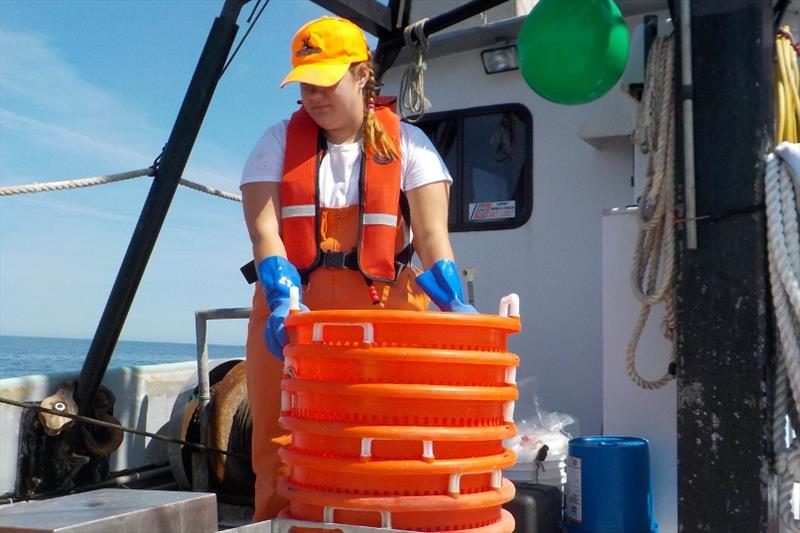 Fishery observer Allison Hall photo copyright NOAA Fisheries taken at 