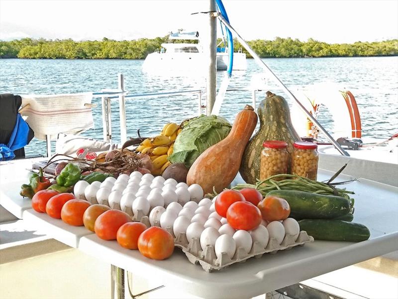 Fruit and vegetables from the trip to Sancto Spiritus photo copyright Mission Ocean taken at 