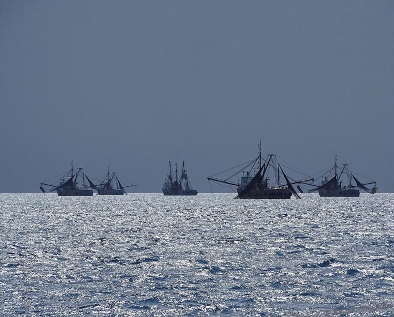 Shrimping boats in the Jardin de la Reina photo copyright Mission Ocean taken at 