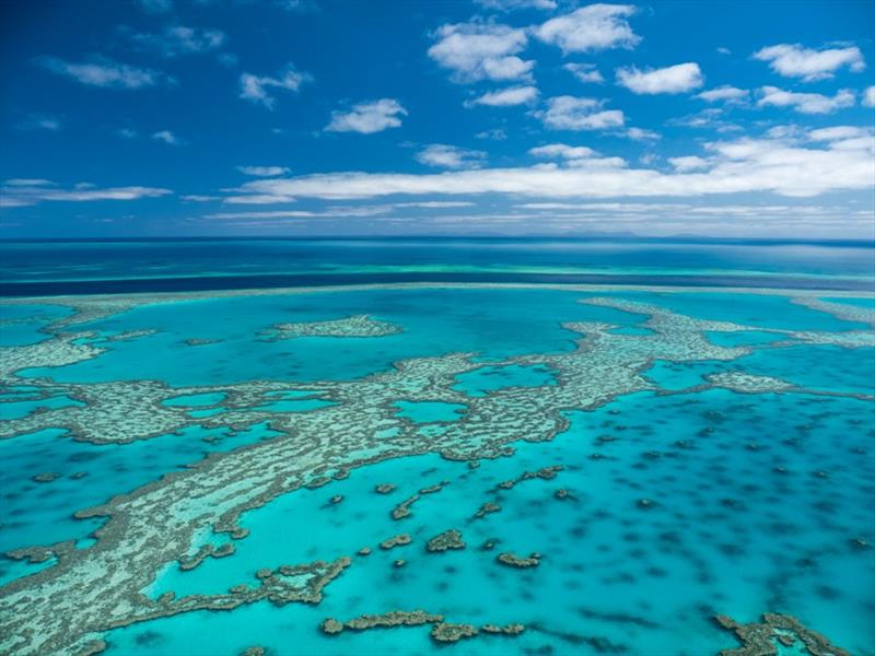 Learn about the Great Barrier Reef - photo © Cruise Whitsundays