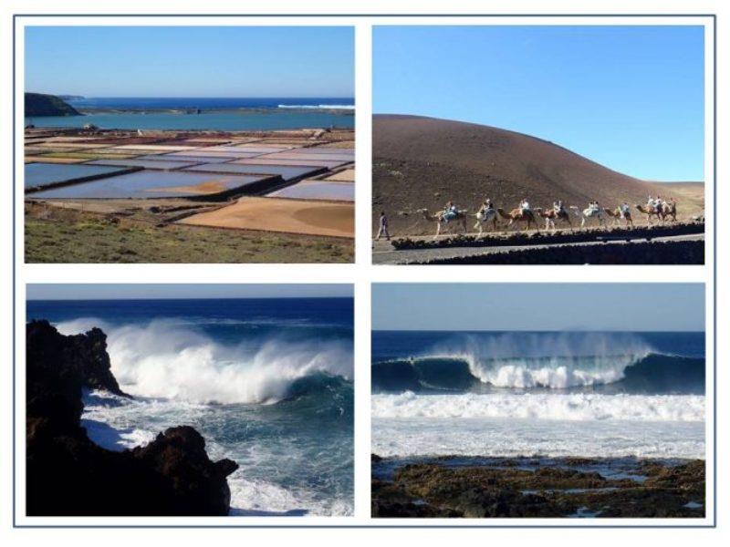 Salinas Janubio salt flats on SW side of Lanzarote. Camels were used extensively in agriculture on Lanzarote and are now an opportunity for tourists to interact with amazing animals and experience a camel ride. Surfers get exhilarating ride on big waves. - photo © Rod Morris