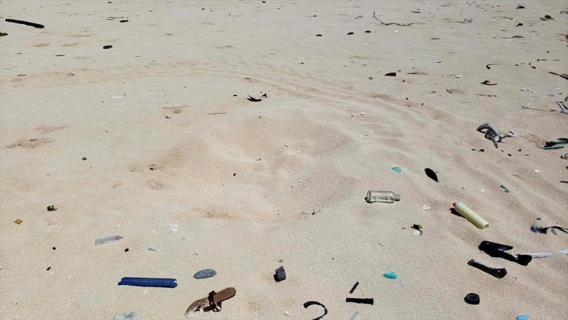 Green sea turtle nest surrounded by marine debris at Laysan Island, Northwestern Hawaiian Islands. - photo © NOAA Fisheries / Jan Willem Staman