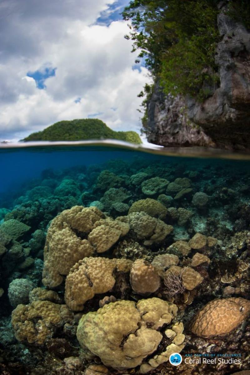 Climate change continues to threaten coral reefs and the futures of 400 million people who are dependent upon them photo copyright Mark Priest / ARC Centre of Excellence for Coral Reef Studies taken at 