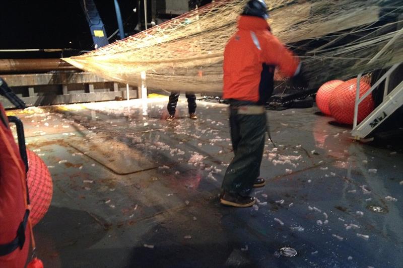 Pyrosomes can be seen littering the deck of this research vessel photo copyright NOAA Fisheries taken at 