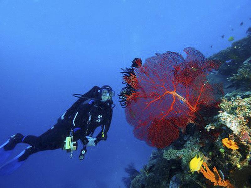 Fiji‘s extensive coral reefs provide tourist income - photo © Mark Ullman