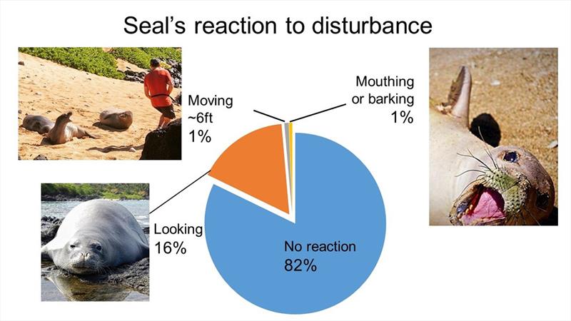 Seals reacted to human disturbance in nearly 18% of social media posts in this study. Reactions divided into 3 categories—moving away from photographer/ person in frame, making a defensive gesture like mouthing or barking, & looking at person or camera. - photo © NOAA Fisheries