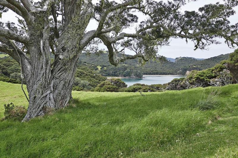 Looking down on the protected anchorage west of Urapukapuka Island photo copyright Lisa Benckhuysen taken at 