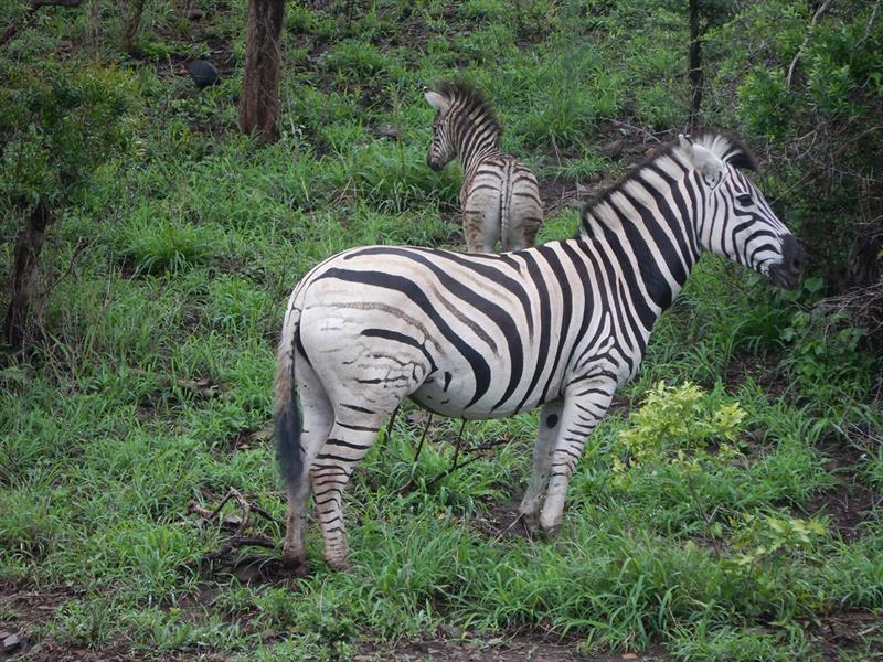 World ARC 2019-20 in South Africa photo copyright World Cruising taken at 