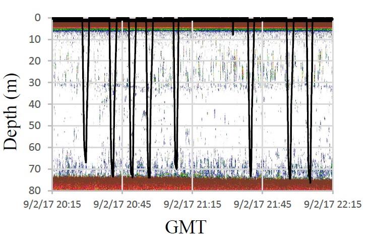 Northern fur seal dive behavior in relation to the prey field (echosounder backscatter) recorded by the Saildrone. This female made a series of deep daytime dives to near the sea floor. - photo © NOAA Fisheries