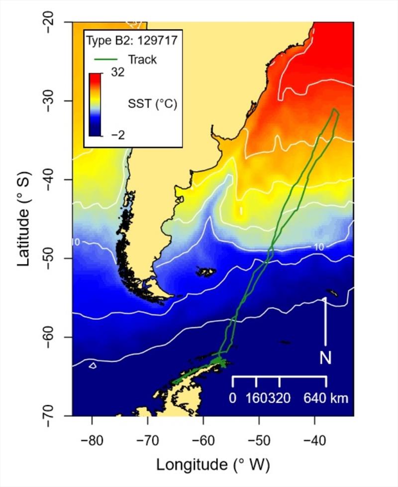 B2 type killer whale was tracked for 113 days in Antarctic Peninsula. Migration shown took total 39 days. Whale returned to same area that it departed from. Water temperature is color-coded, with whale traveling to very warm water before it turned around photo copyright NOAA Fisheries taken at 