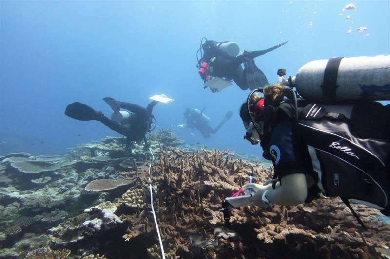 Local partners Georgia Coward (CRAG) and Hanae Spathias (NMSAS) joined NOAA scientists on coral surveys in Vatia Bay following classroom and in-water training sessions. - photo © NOAA Fisheries / Morgan Winston