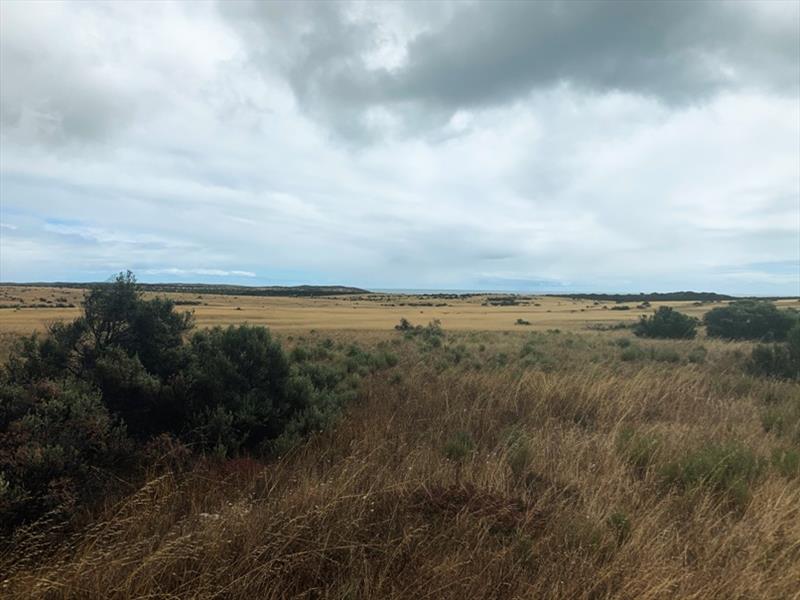 View across Flinders Island, which is freehold. At 36 km sq it's the biggest island in the group. I believe it grazes about 4000 sheep. - photo © Wooden Boat Shop