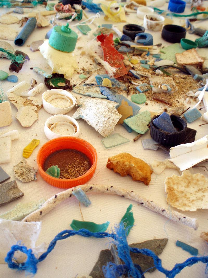 Plastics found in the ocean. - photo © NOAA Fisheries