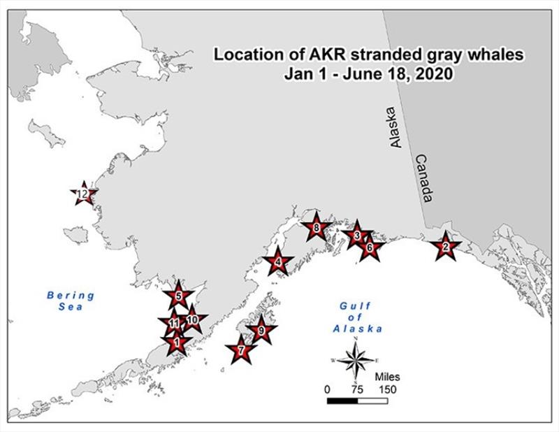 Location of AKR stranded gray whales - photo © NOAA Fisheries