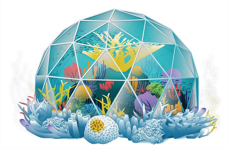 Coral Dome - photo © Natalie Renier, WHOI Creative, © Woods Hole Oceanographic Institution