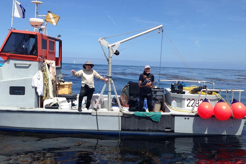 Commercial fishermen Terry Herzik, Gary Thompson, (and Gary's Chihuahua, Lucy) are part of a partnership to harvest sea urchins so kelp can make a comeback photo copyright NOAA Fisheries taken at 