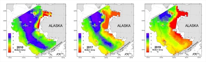 A comparison of seafloor temperatures showing significant and rapid warming in the eastern Bering Sea in 2010 (left), 2017 (center), and 2019 (right). In 2019, the cold pool was the second smallest on record (only 2018 was smaller) photo copyright NOAA taken at 