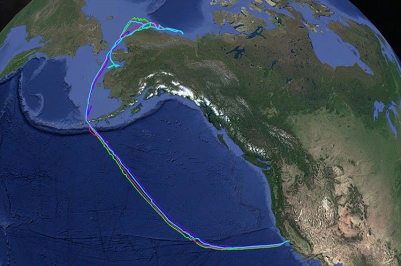 A map showing the distance traveled from San Francisco to the Canadian border. The four saildrones are currently making their way back to San Francisco. - photo © Saildrone