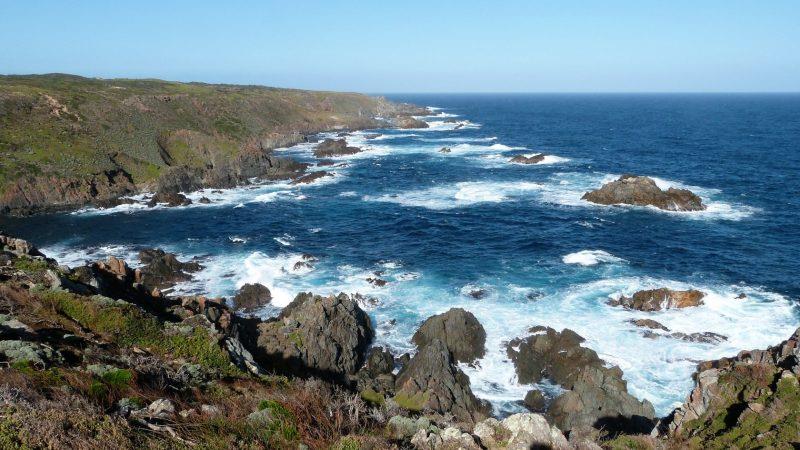 Seal Rocks photo copyright Jack and Jude taken at 