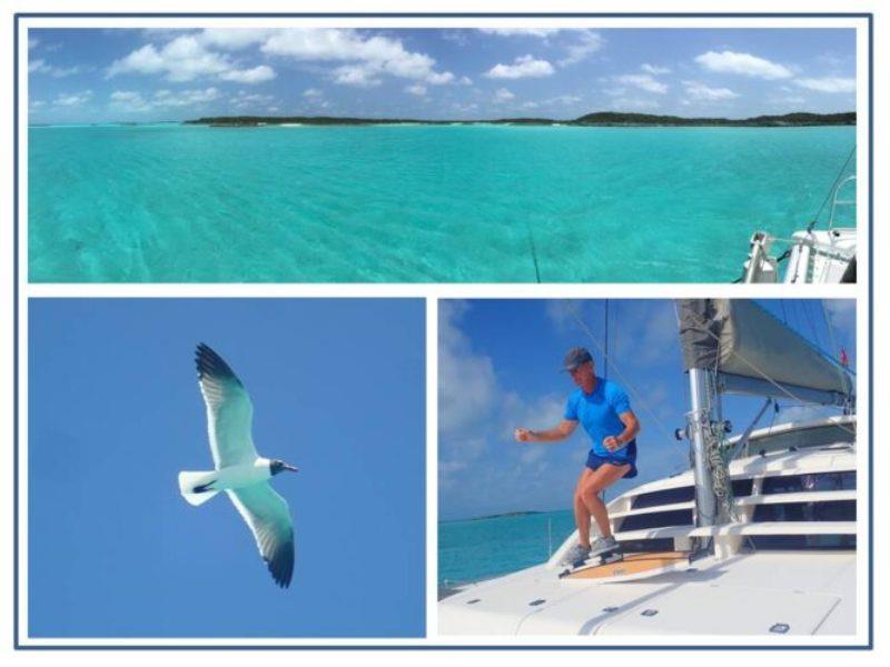 The stunning clear waters near Pipe Cay provided a great playground. I miss downhill skiing, so my Fitter First Ski Trainer is closest I can get in tropics. One of Gulls that regularly visited - note turquoise water color reflecting on underside of wings. - photo © Rod Morris